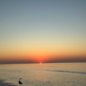 Jenna’s Unlisted Bundle